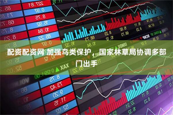 配资配资网 加强鸟类保护，国家林草局协调多部门出手