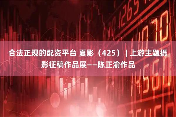 合法正规的配资平台 夏影（425） | 上游主题摄影征稿作品展——陈正渝作品